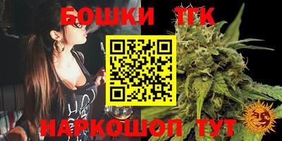 дживик Пенза