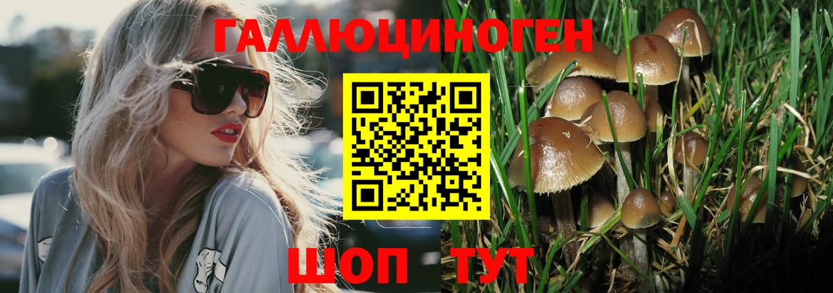 цена   Вход с VPN  Павловский Посад  Псилоцибиновые грибы MAGIC MUSHROOMS 